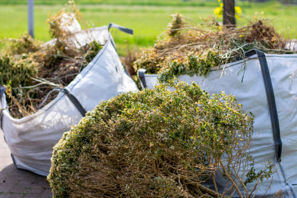 Best Yard Cleanup Services  in Sharon, PA
